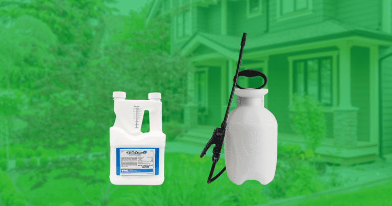 DIY Pest Control Success Stories: Inspiring DIY Pest Control Victories