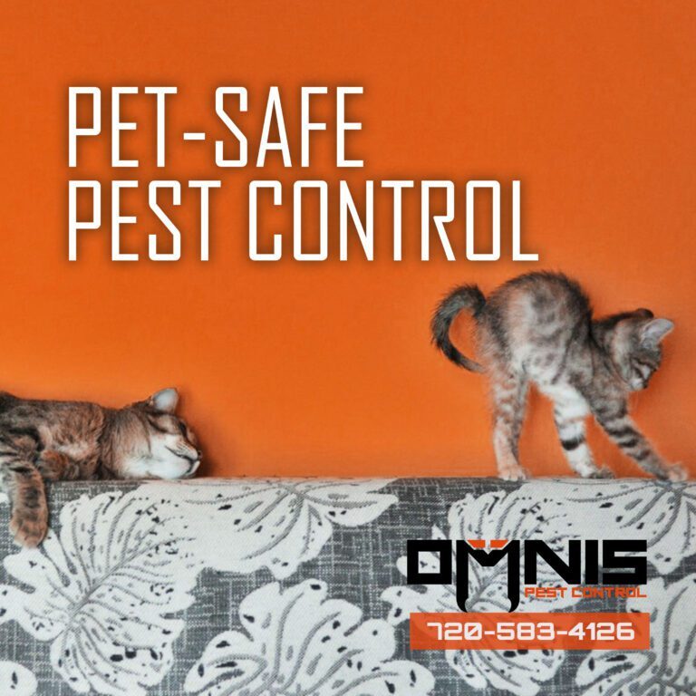 DIY Pest Control for Pet Owners: Keeping Your Furry Friends Safe