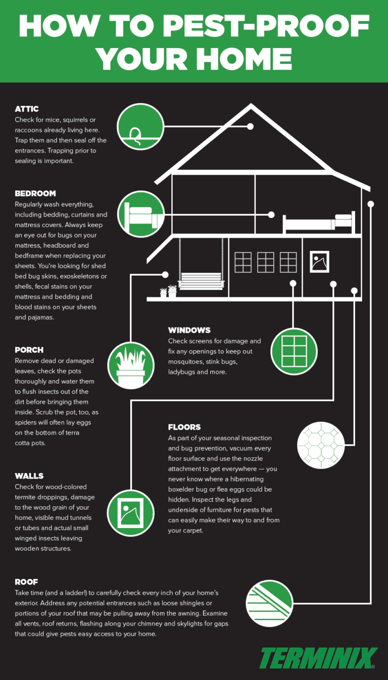 The Ultimate Guide to Pest-Proofing Your Home: A Step-by-Step Approach