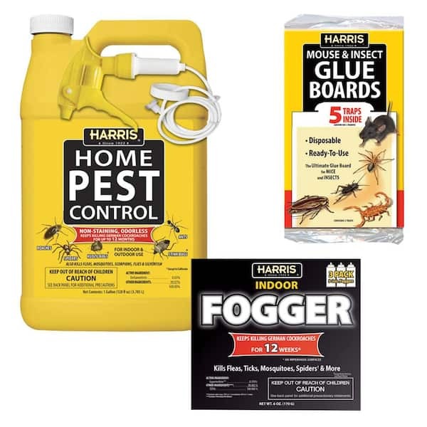 Reviewing Over-The-Counter Pest Control Products for DIY Pest Control