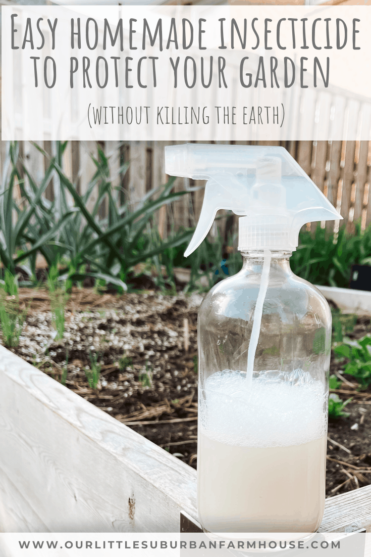 DIY Pest Control: Homemade Insecticides