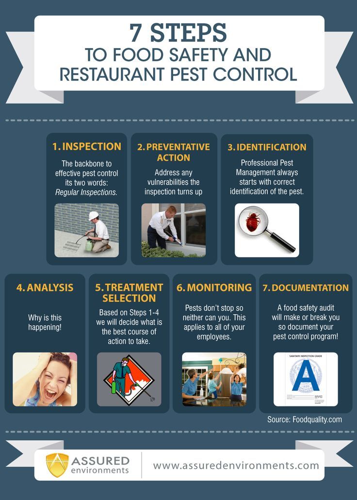 Effective Pest Control Tips for Restaurants and Food Establishments