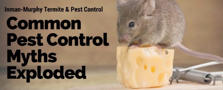 10 Common Pest Control Myths Debunked