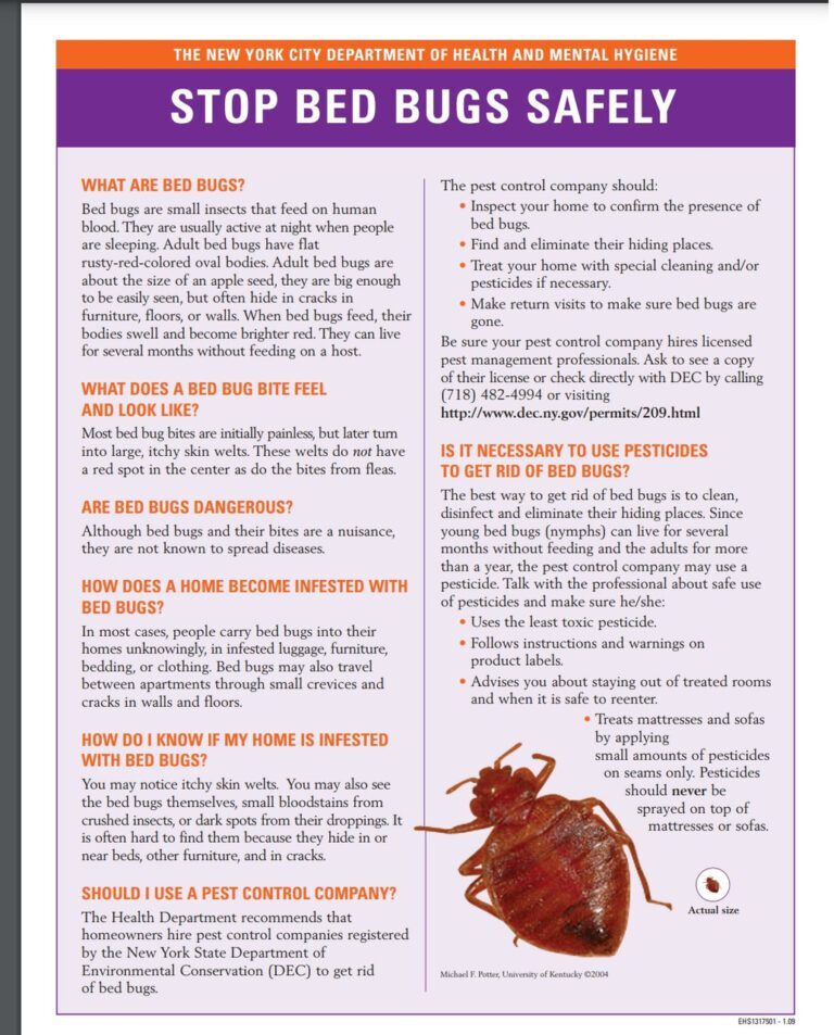 Preventing Bed Bugs: Tips for Homeowners and Travelers