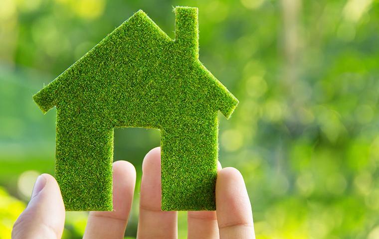 Natural Pest Control: Eco-Friendly Solutions for Your Home