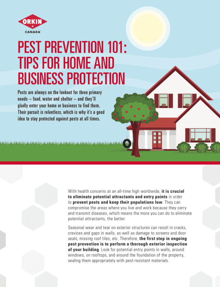 Preventing Pest Problems: Simple Tips for a Pest-Free Home