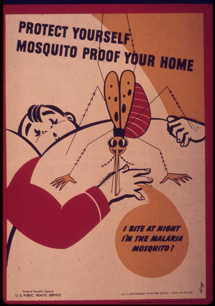 Dangers of Mosquitoes and How to Protect Yourself