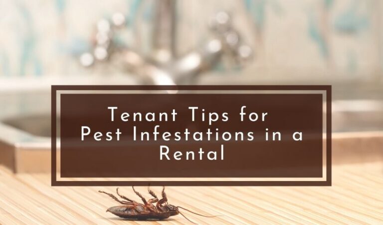10 Essential Tips for Preventing Pest Infestations in Your Home