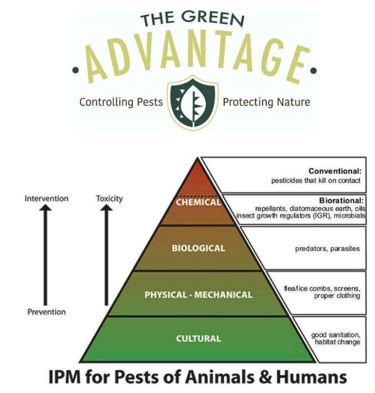 The Benefits of Integrated Pest Management in Prevention