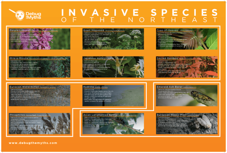 The Invasive Species Threat: How to Recognize and Control Non-native Pests