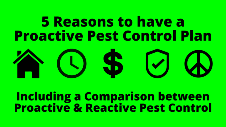 The Importance of Preventative Pest Control: Why Taking Action Early is Key