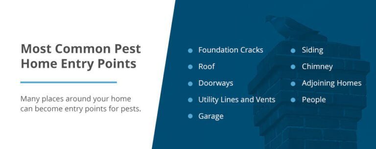 How to Seal Entry Points: A Key Step in Preventative Pest Control