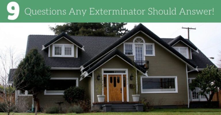 Ask the Expert: Your Pest Control Questions Answered
