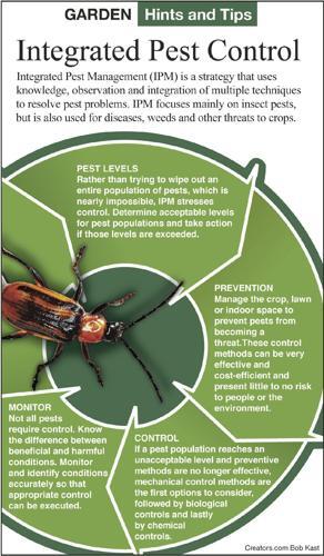 Tips and Tricks for Successful Pest Management