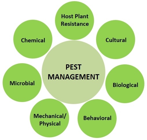 The Environmental Impact of Pest Control Methods
