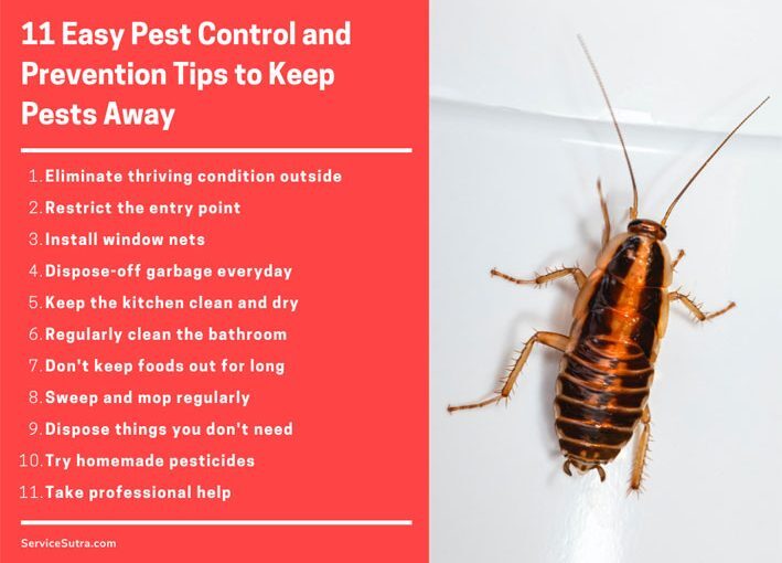 Avoiding Pest Control Accidents: Essential Safety Measures to Follow