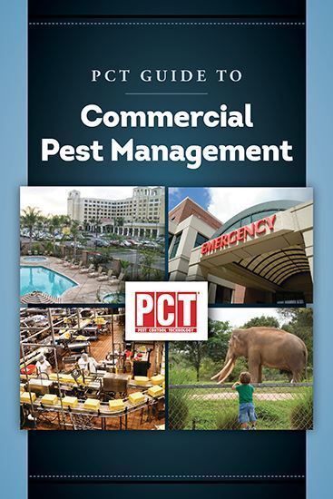 An Insider’s Guide to Pest Control: Tales from the Frontlines