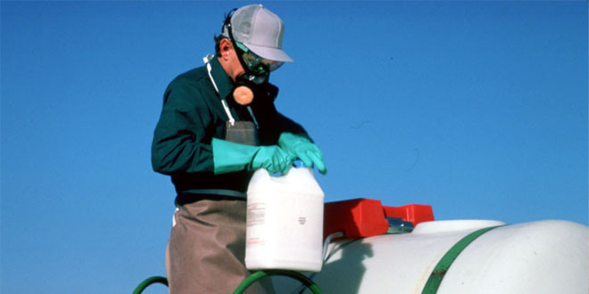 Protecting Yourself from Harmful Chemicals in Pest Control