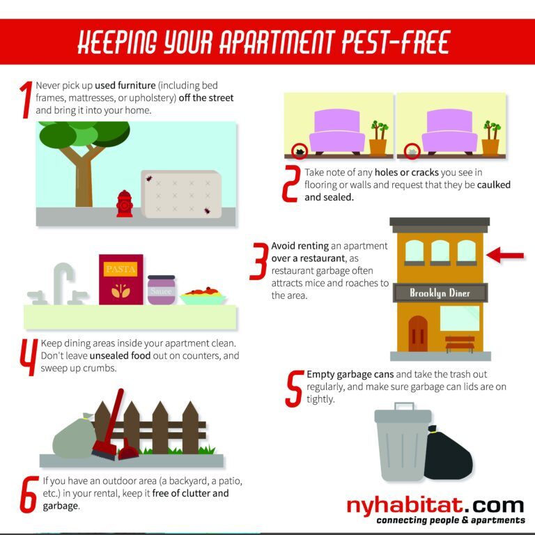 Preventing Pest Infestations in Rental Properties: Landlord’s Guide