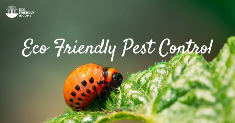 Eco-Friendly Pest Control: Safe Solutions for a Greener Approach