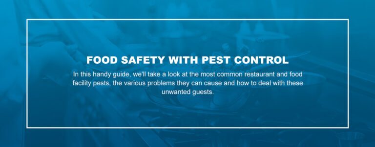 The Importance of Safety in Pest Control