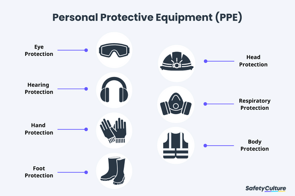 The Role of Protective Gear in Pest Control: Keeping Yourself Safe