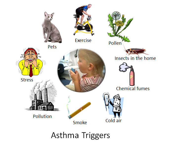 The Role of Pests in Allergies and Asthma
