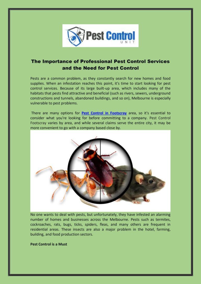 The Role of Professional Pest Control Services in Preventative Measures