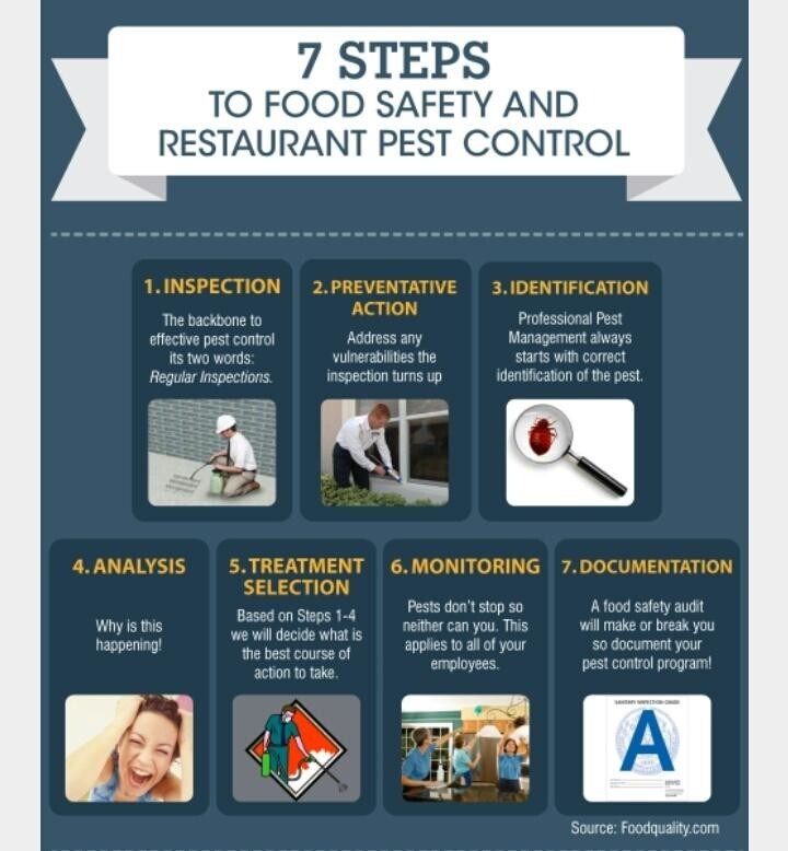 Stay Safe and Pest-Free: Best Practices for Pest Control