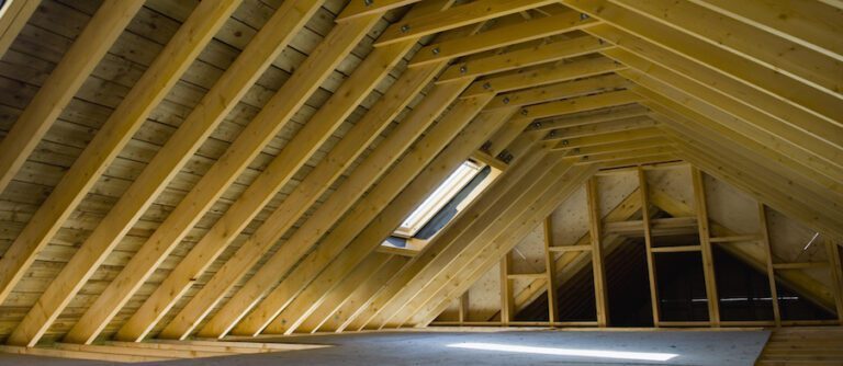 Preventing Pest Infestations in Attics and Basements: Expert Advice