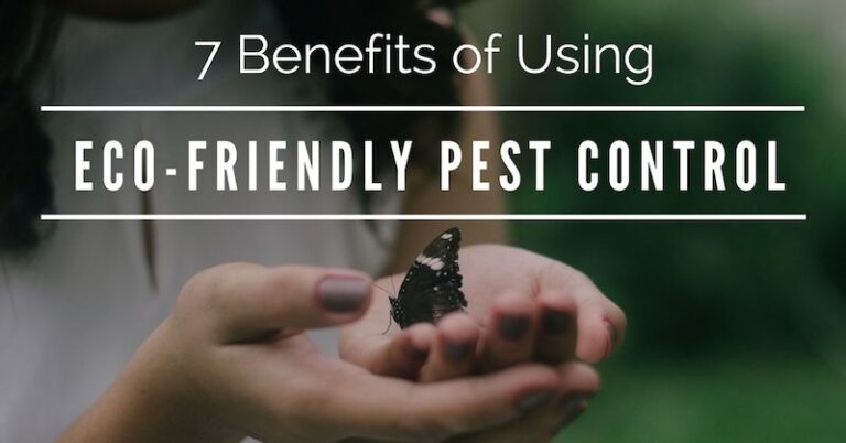 Eco-Friendly Pest Control: Protecting the Environment and Your Health
