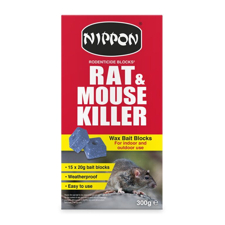 Rodent Control 101: Getting Rid of Rats and Mice