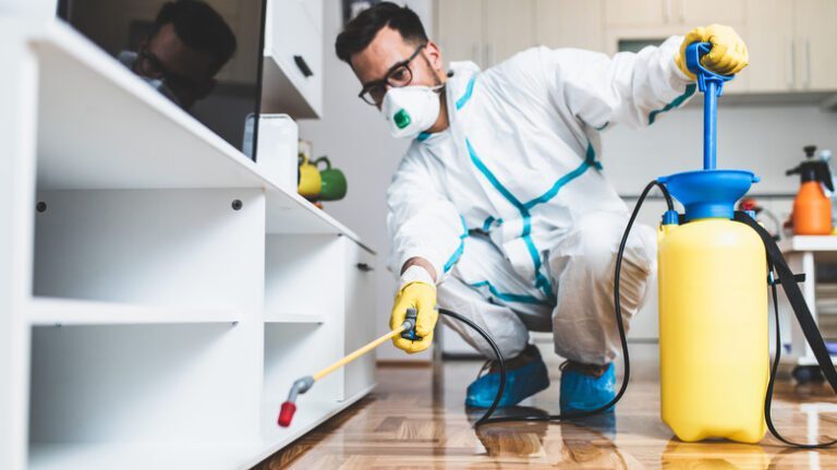 The Financial Impact of Neglecting Preventative Pest Control