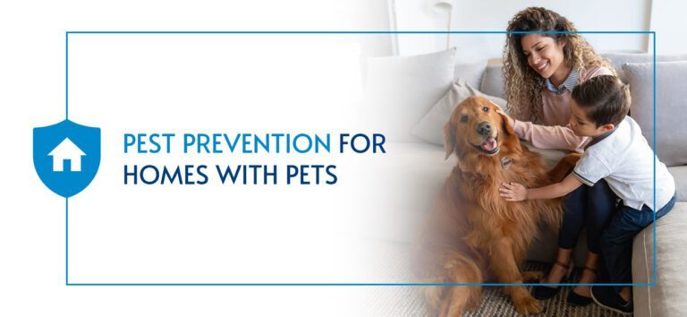 Safe Pest Control Practices for Pet Owners