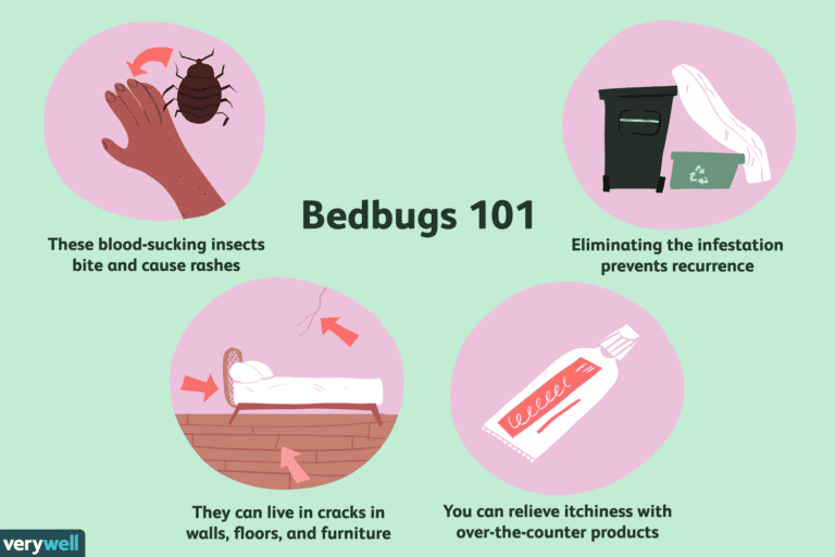 Dealing with Bed Bugs: Prevention, Treatment, and Extermination