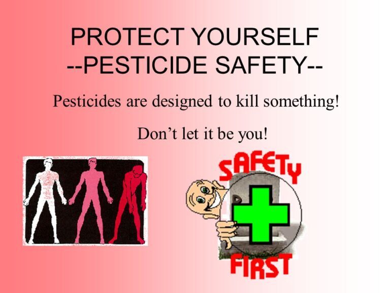 Insecticide Safety: Protecting Yourself and the Environment