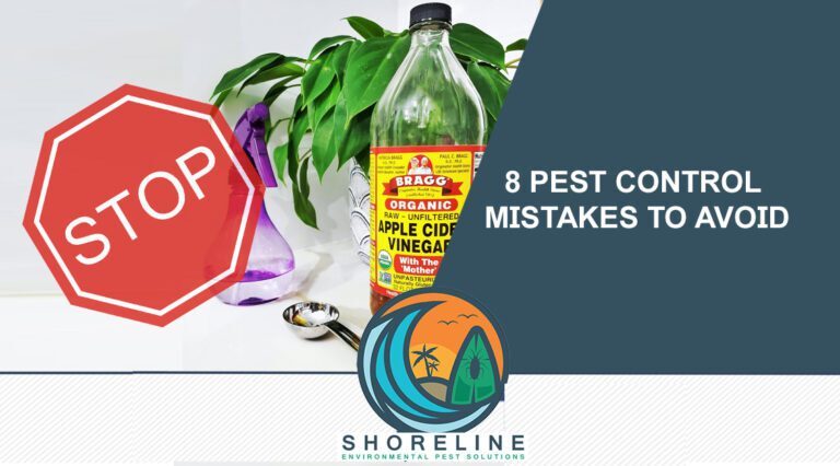 Common Mistakes to Avoid in Preventative Pest Control