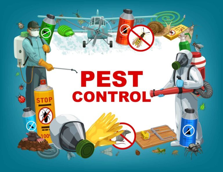 Preventative Pest Control for Rental Properties: Keeping Tenants Happy