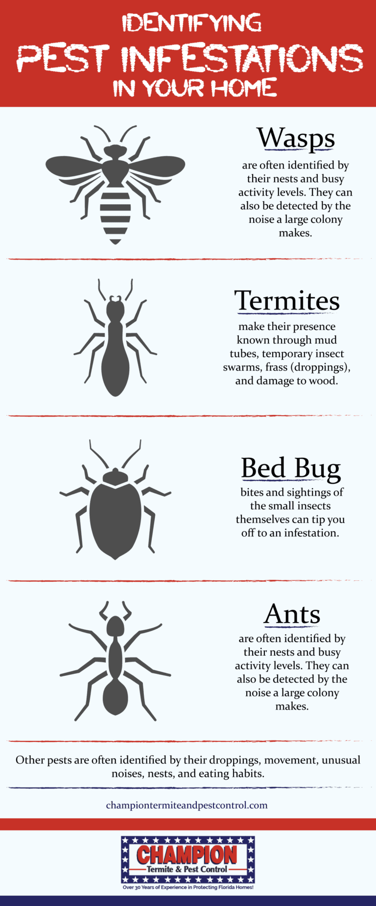 Preventing Pest Damage: Tips for Safeguarding Your Property