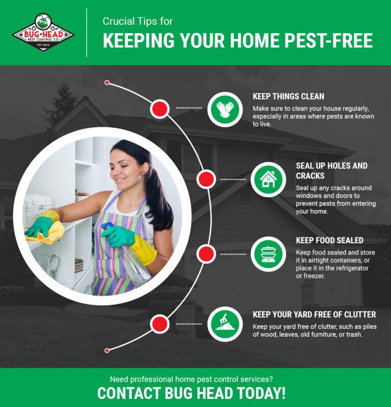 Keeping Your Home Pest-Free: Effective Strategies and Preventive Measures