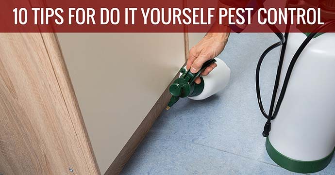 Safety Guidelines for DIY Pest Control at Home