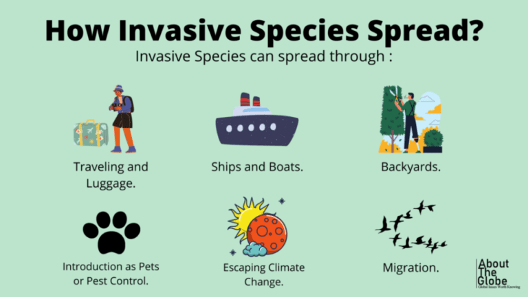 Invasive Pests: Threats to Biodiversity and Ecosystems