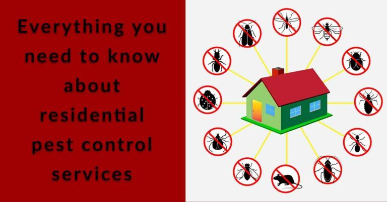 Preventative Pest Control: A Comprehensive Guide for Homeowners