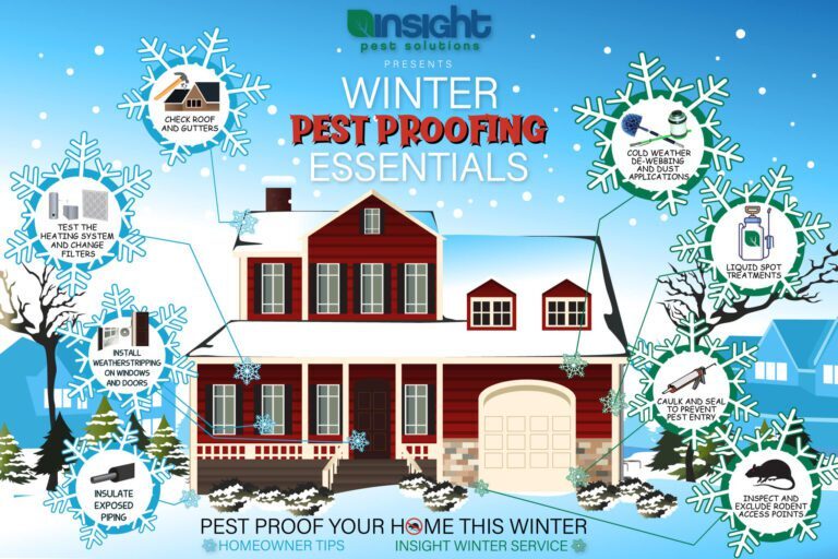 Preventative Pest Control for Homeowners: What You Need to Know