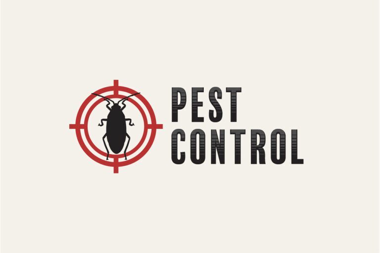 Top Pest Control Tips to Keep Your Home Pest-Free Year-Round