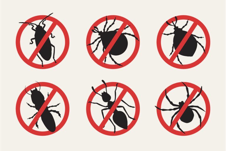 Fall Pest Prevention: Key Strategies to Keep Pests Away