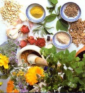 Effective Natural Remedies for Common Household Pests