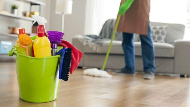 Spring Cleaning and Pest Control: A Comprehensive Guide