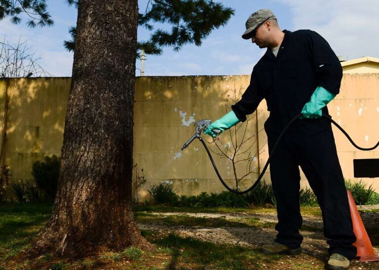 When to Hire Professional Pest Control Services