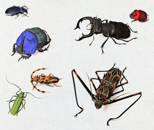 Identifying Seasonal Pest Patterns in Your Area